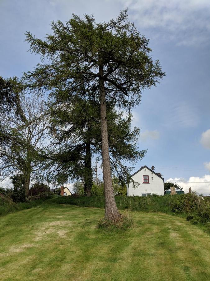Villa The Rathbarn à Newry Extérieur photo